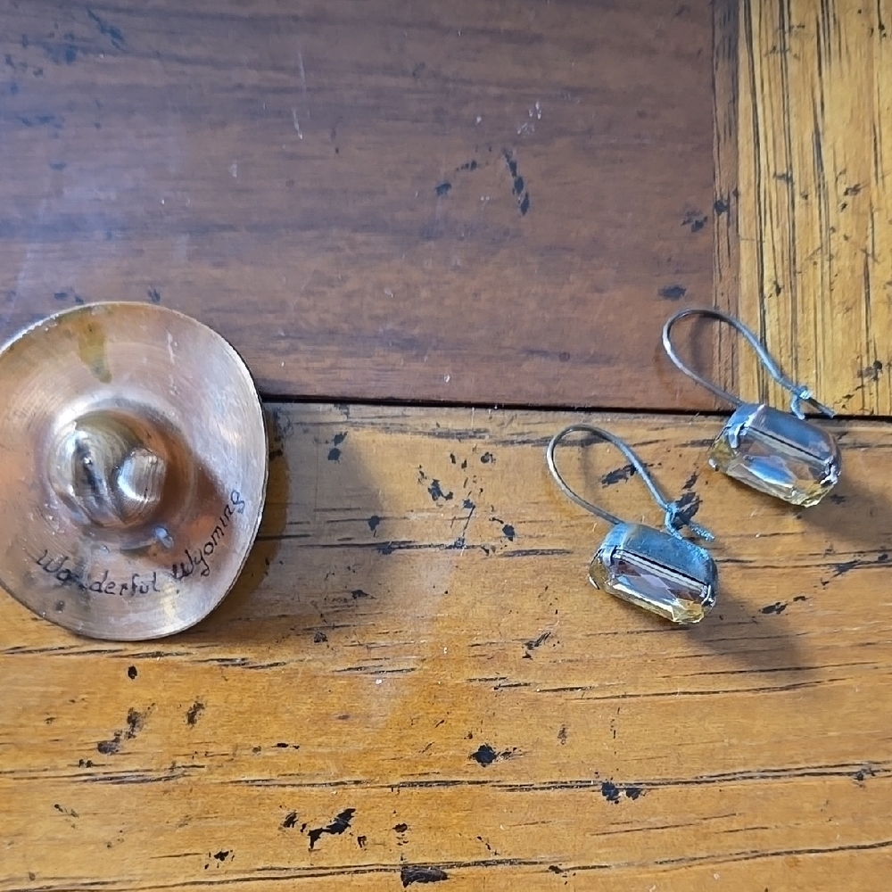 Copper Sovenier Pin, And Copper/Amber Color Earrings